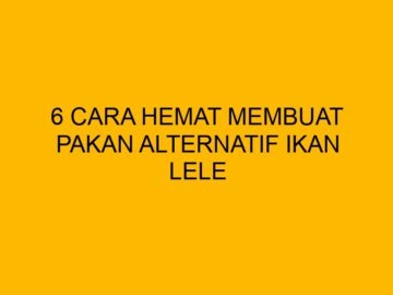 Pakan Alternatif untuk Ikan Lele: Solusi Hemat untuk Pembudidaya