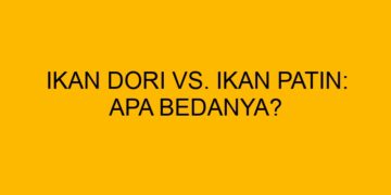 Ikan Dori Vs Ikan Patin: Kenali Perbedaan dan Karakteristiknya
